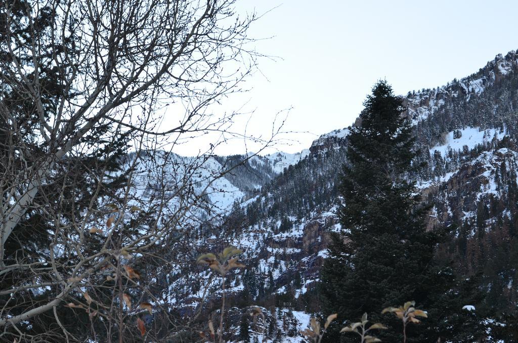 The Ouray Main Street Inn Pokoj fotografie